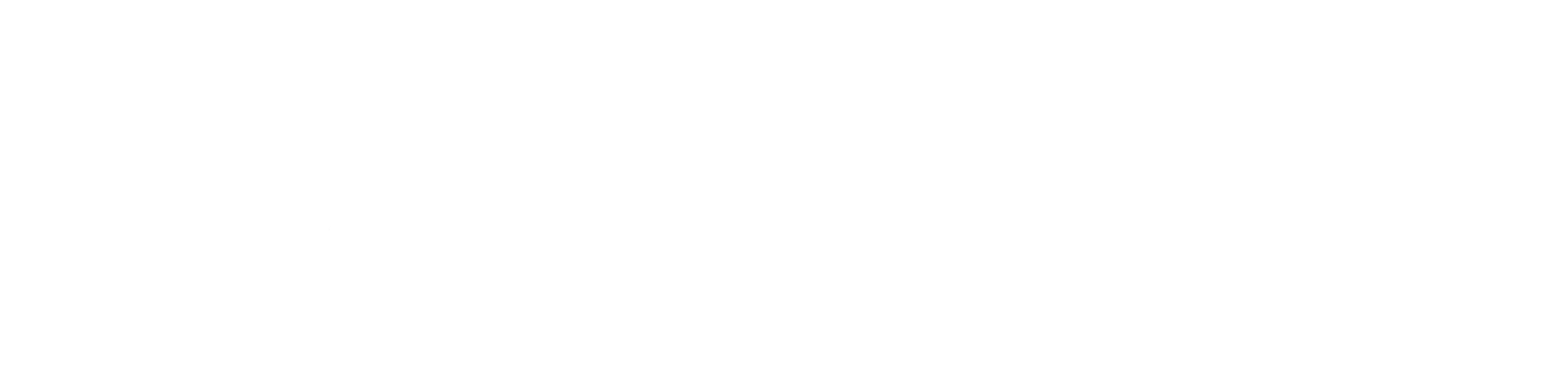 Stoneopolis